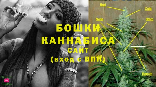 гидропоника Алексеевка
