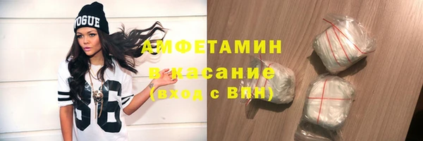 стаф Алзамай