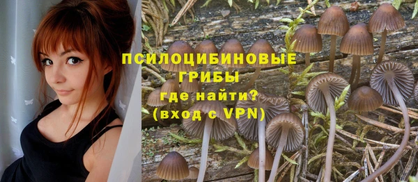 гидропоника Алексеевка