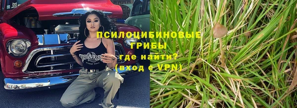 ГАЛЛЮЦИНОГЕННЫЕ ГРИБЫ Алексин