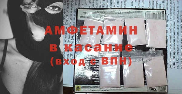 стаф Алзамай