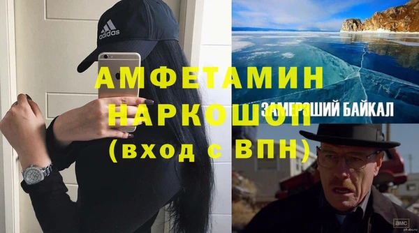 стаф Алзамай