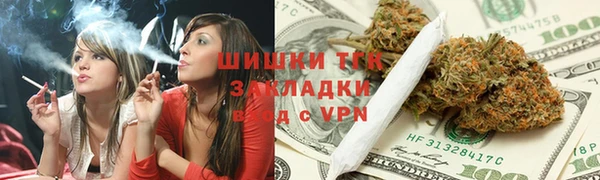 хмурый Арсеньев