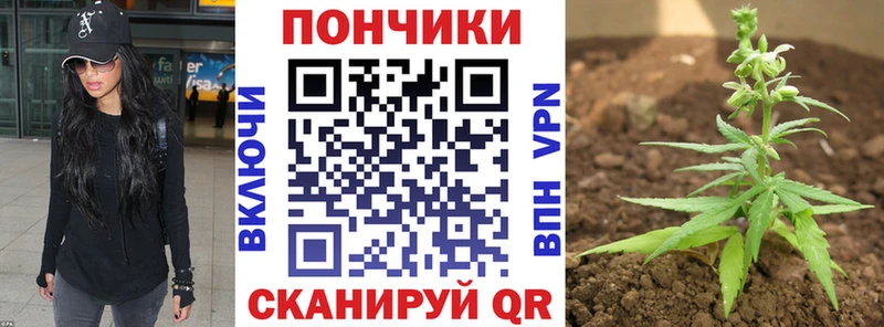 МАРИХУАНА ГИДРОПОН купить наркотик Новороссийск